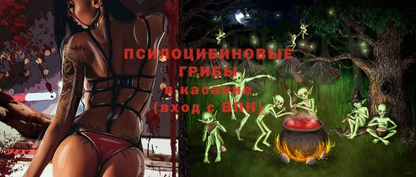 Альфа ПВП Алзамай