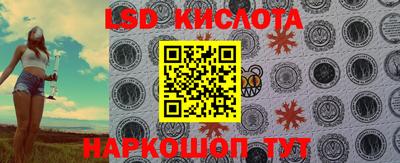 дживик Кандалакша