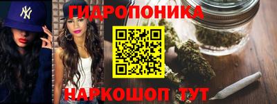 дживик Кандалакша