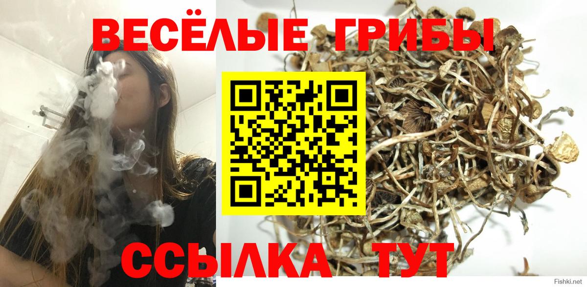 Псилоцибиновые грибы мицелий Кыштым